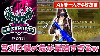 【荒野行動】Akを4枚抜き‼ やはり芝刈り機〆危が最強でした
