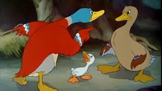 Ugly Duckling -  Walt Disney