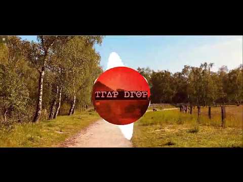 Zary, Rhea Raj - Intertwine | trap drop