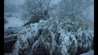 preview picture of video 'nieve 8-3-2010.wmv'