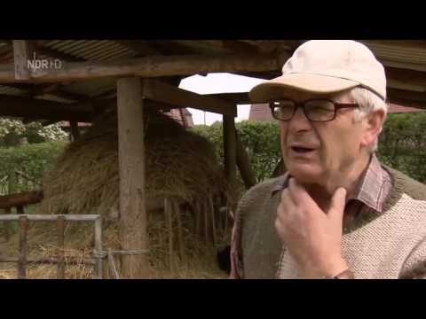 DOKU HD die nordstory - wiederentdeckt: Niedersachsen östlich der Elbe