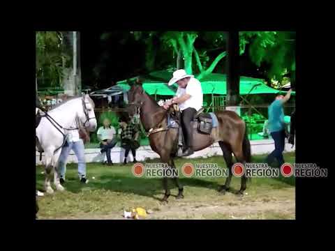 No más cabalgatas en Buga Cabalgata de Buga 2022. Vergüenza Nacional.