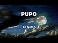 Pupo "La Notte"