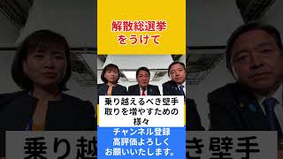 解散総選挙をうけて #政治解説 #国民民主党 #玉木雄一郎 #榛葉賀津也