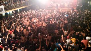 Raimundos palhas do coqueiro (a maior roda)