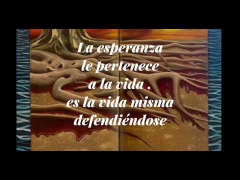 Libros y noches Bertha Nelly / Julio Cortázar