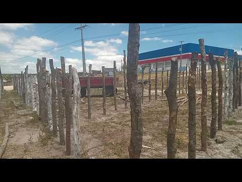 Em  BREVE FEIRA DE GADO EM QUEIMADA DE JUREMA_PE 20/10/2026