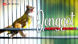 Download lagu MASTERAN CUCAK JENGGOT GACOR FULL NGEPIK BESET mp3 Download lagu MASTERAN CUCAK JENGGOT GACOR FULL NGEPIK BESET mp3