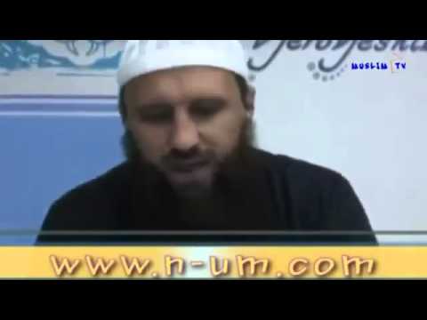 Prof. Elvedin Pezić || Propisi prosidbe (smiješno)