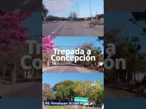 Ruta 14 (Huillapima) a Concepción de Capayán #shorts