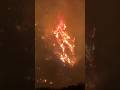This Technique Can Help Los Angeles WildFires!