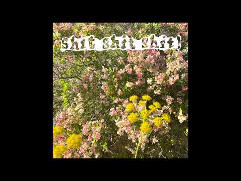 shit shit shit! SUNSAD (альбом)