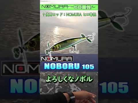 淡水水族館用植物 10 種 - ウキクサ (Lemnaマイナー)