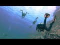 Diving @ Panorama Reef - Safaga