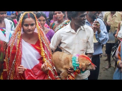 girl and dog marriage in India | Zeeshan TV