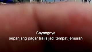 preview picture of video 'Penumpang pelni memancing di pelabuahan Marapokot Nagekeo'