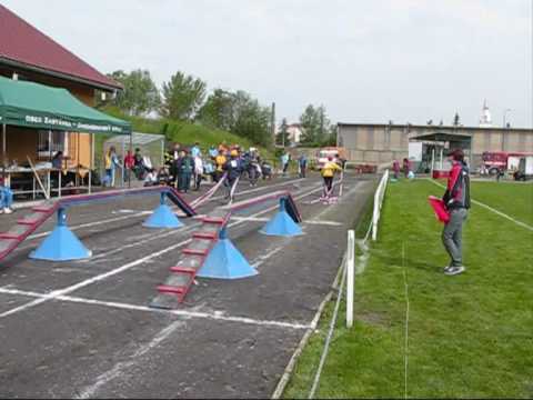 Přebor MHJ 2010 - Petr Paleček - HS Křenovice - 11. místo