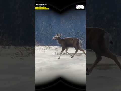 The new Call of the Wild DLC, live from 20:30 #gamingchannel #gaming #livestream #newgame