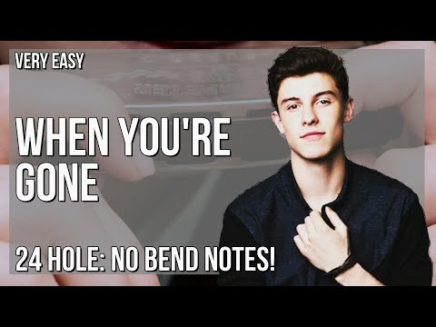 How to play When You're Gone by Shawn Mendes on Tremolo Harmonica 24 Holes (Tutorial)