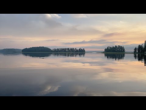 Cynosure - Perfection (Official video)