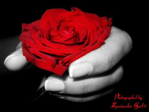 Foleja - Nje tufe lule