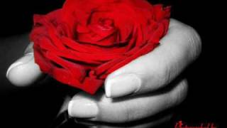 Foleja - Një Tufë Lule