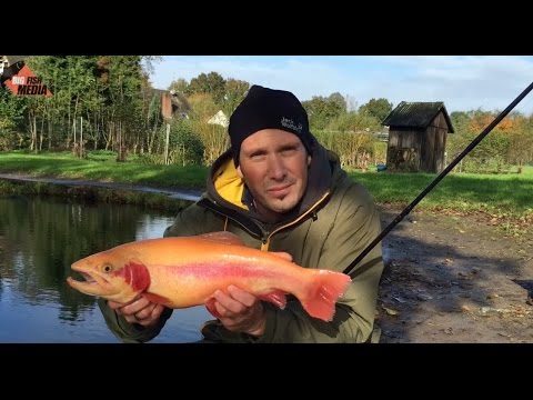 Classic at the trout lake: fishing with the angle picker
