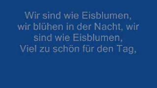 Eisblume - Eisblumen with Lyrics