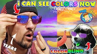 COLOR BLIND GLASSES CURED MY VISION Reaction (The Truth) FV Family