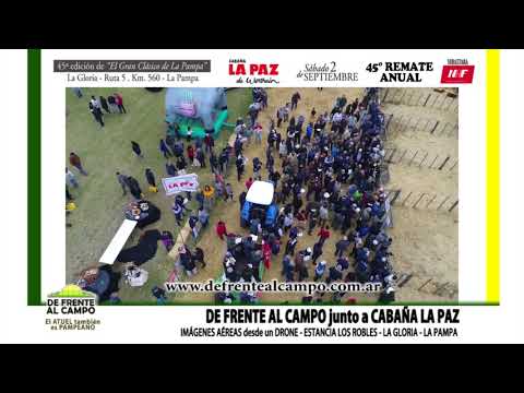 DE FRENTE AL CAMPO junto a CABAÑA "LA PAZ" - IMÁGENES AÉREAS-