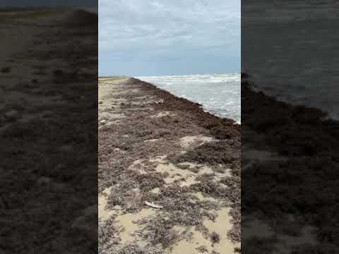 not the best beach