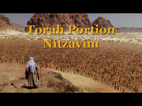 Torah Portion Nitzavim by Dr Benjamin Shadwick 2020