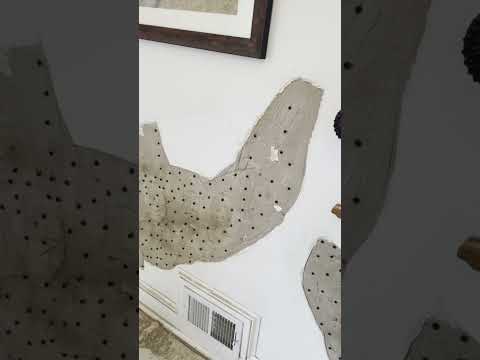 Badly damaged plaster #fix #diy #repair #painting #drywall #plaster #wallrepair
