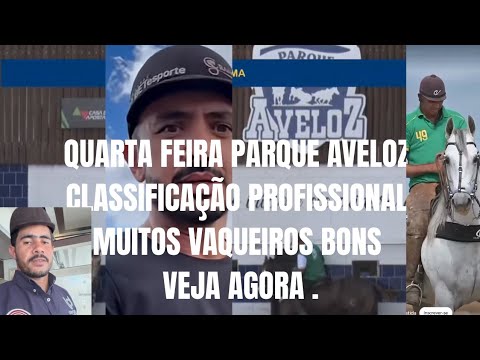 QUARTA FEIRA CLASSIFICAÇÃO PROFISSIONAL PARQUE AVELOZ SÃO BENTO DO UNA.
