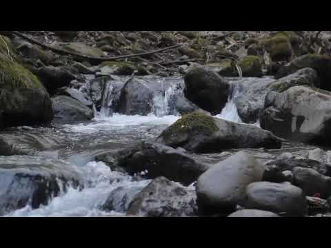 Relaxing Waterfall Sounds for Sleeping&study | Roaring waterfall White noise | spa meditation