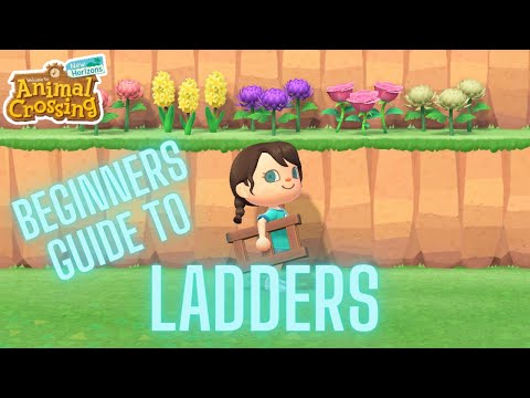 Beginners Guide to Ladders: 2022 | ACNH