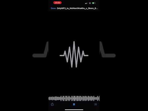 WeWantWraiths x Skore Beezy FULL RELEASE LEAK