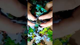 ASMR 🌈 Oddly Satisfying Jigsaw Puzzle Piece Crunchy Sound