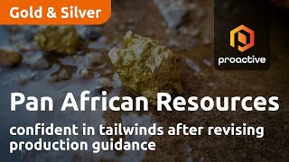 pan-african-resources-confident-in-tailwinds-after-revising-production-guidance