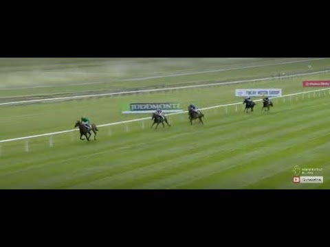 Derby weekend at the Curragh featuring the Juddmonte Pretty Polly Stakes (Group 1) | 1st July 2018
