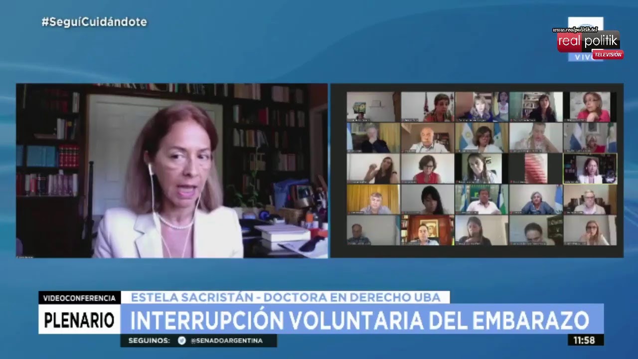 Aborto: El Senado busca el dictamen para debatir el proyecto el próximo 29 de diciembre