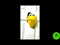 Elmo Smashes Through Door Effects L Pils Plus Reklama 2013 Effects