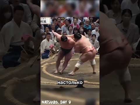Что за остановка такая??🤔 #japan #япония #юмор #sumo #mma #sports #ufc #спорт #wwe #сумо #fight