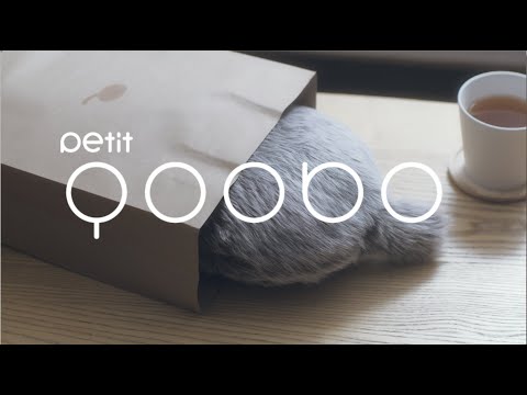 Petit Qoobo プチクーボ セラピーロボット YEPQ001 ユカイ工学｜Yukai