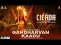 Gandharvan Kaadu Audio Song CICADA Movie Sreejith Edavana Navin Marar Malayalam Latest Song
