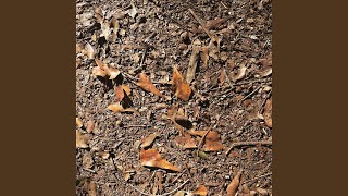 Big Empty (Full Band Reprise)