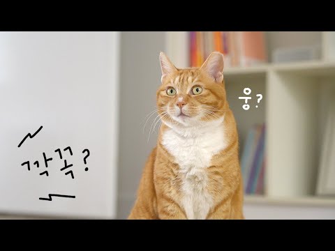 니 이름 깍꼭이 아니고 오들이라고