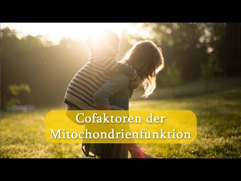 Cofaktoren der Mitochondrienfunktion | Dr. med. Dirk Wiechert