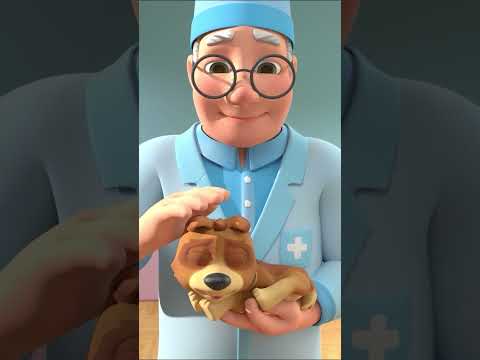 Bingo the Dog at the Pet Shop 🐶🎶 | Lalafun Nursery Rhymes & Kids Songs