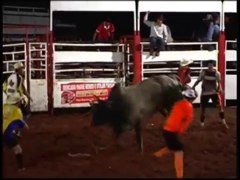 Rodeio Herculândia Pr  2015